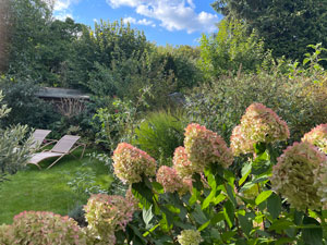 BV Alstertal Bepflanzung Grundstuecksgrenzen 7s